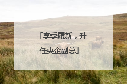 李季履新，升任央企副总
