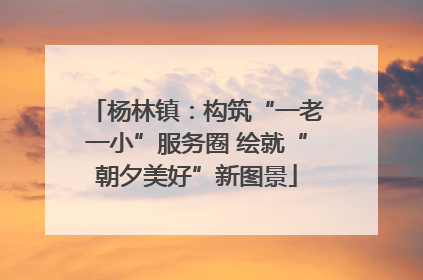 杨林镇：构筑“一老一小”服务圈 绘就“朝夕美好”新图景