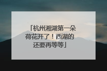 杭州湘湖第一朵荷花开了！西湖的还要再等等