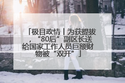 极目政情丨为获提拔，“80后”副区长送给国家工作人员巨额财物被“双开”