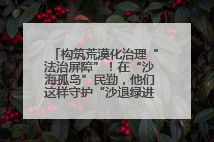 构筑荒漠化治理“法治屏障”！在“沙海孤岛”民勤，他们这样守护“沙退绿进”的生态奇迹