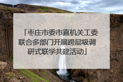 枣庄市委市直机关工委联合多部门开展跨层级调研式联学共建活动