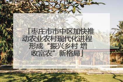 枣庄市市中区加快推动农业农村现代化进程 形成“振兴乡村 增收富农”新格局