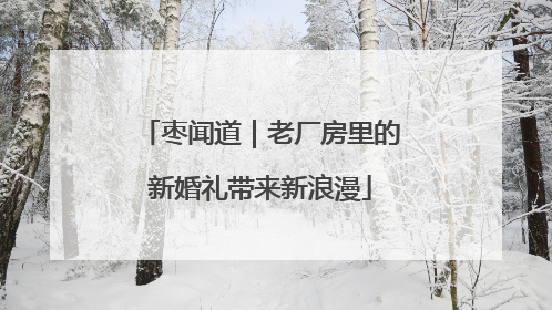 枣闻道｜老厂房里的新婚礼带来新浪漫
