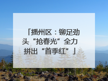 播州区：铆足劲头“抢春光”全力拼出“首季红”