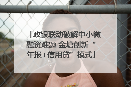 政银联动破解中小微融资难题 金塘创新“年报+信用贷”模式