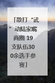散打“武”动陆家嘴商圈 19支队伍300余选手参赛