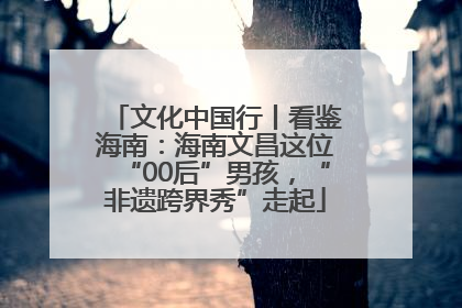 文化中国行丨看鉴海南：海南文昌这位“00后”男孩，“非遗跨界秀”走起
