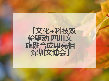 文化+科技双轮驱动 四川文旅融合成果亮相深圳文博会