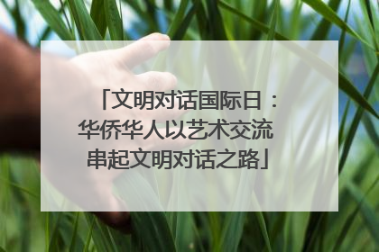 文明对话国际日：华侨华人以艺术交流串起文明对话之路