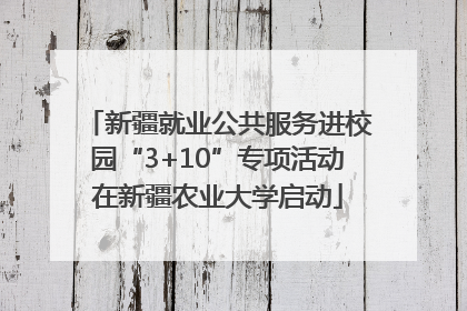 新疆就业公共服务进校园“3+10”专项活动在新疆农业大学启动