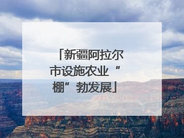 新疆阿拉尔市设施农业“棚”勃发展