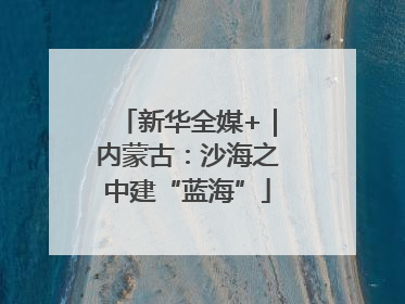 新华全媒+｜内蒙古：沙海之中建“蓝海”