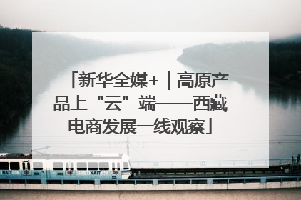 新华全媒+｜高原产品上“云”端——西藏电商发展一线观察