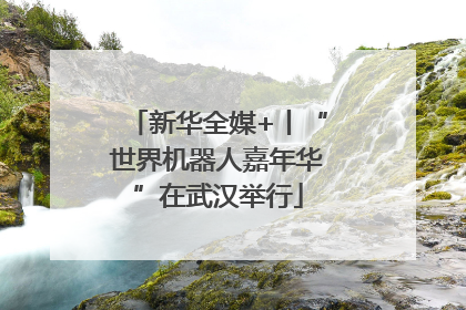 新华全媒+丨“世界机器人嘉年华”在武汉举行