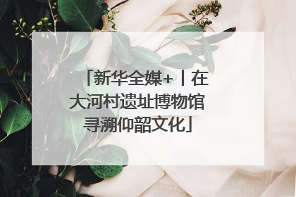 新华全媒+丨在大河村遗址博物馆寻溯仰韶文化