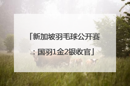 新加坡羽毛球公开赛：国羽1金2银收官
