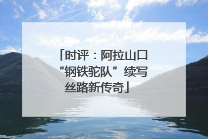 时评：阿拉山口“钢铁驼队”续写丝路新传奇