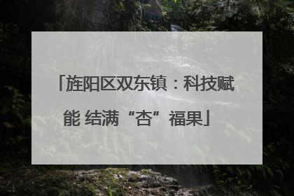 旌阳区双东镇：科技赋能 结满“杏”福果