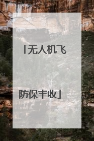 无人机飞防保丰收