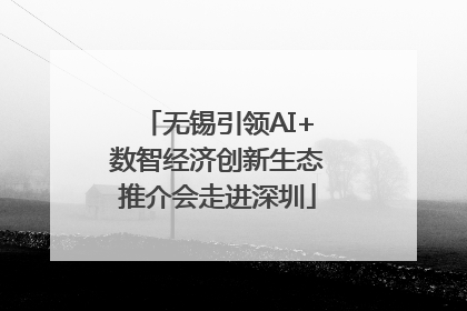 无锡引领AI+数智经济创新生态推介会走进深圳