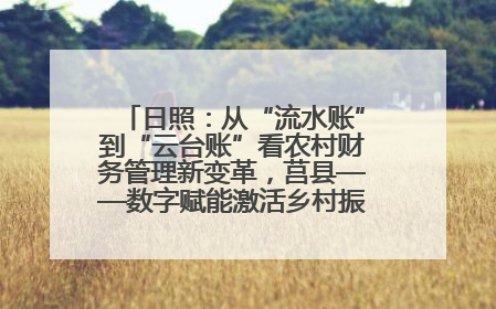 日照：从“流水账”到“云台账”看农村财务管理新变革，莒县——数字赋能激活乡村振兴“一池春水”