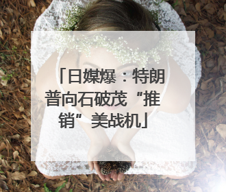 日媒爆：特朗普向石破茂“推销”美战机