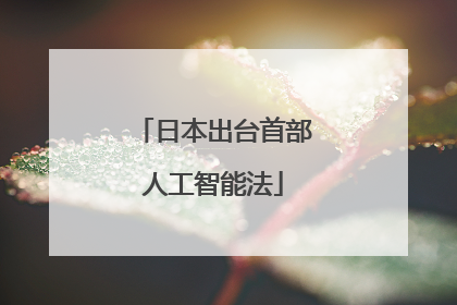 日本出台首部人工智能法