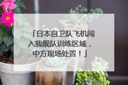 日本自卫队飞机闯入我舰队训练区域，中方现场处置！
