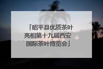 昭平县优质茶叶亮相第十九届西安国际茶叶博览会