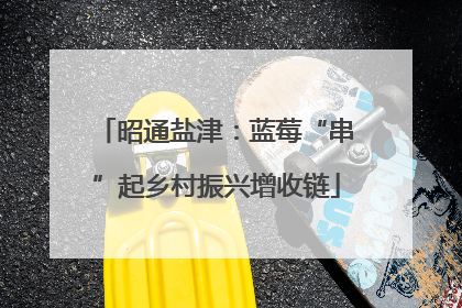 昭通盐津：蓝莓“串”起乡村振兴增收链