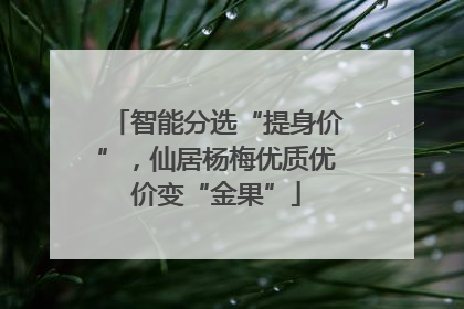 智能分选“提身价”，仙居杨梅优质优价变“金果”