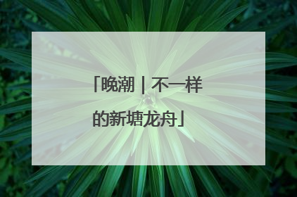 晚潮｜不一样的新塘龙舟