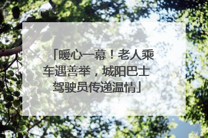 暖心一幕！老人乘车遇善举，城阳巴士驾驶员传递温情