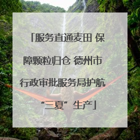 服务直通麦田 保障颗粒归仓 德州市行政审批服务局护航“三夏”生产