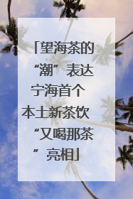 望海茶的“潮”表达 宁海首个本土新茶饮“又喝那茶”亮相