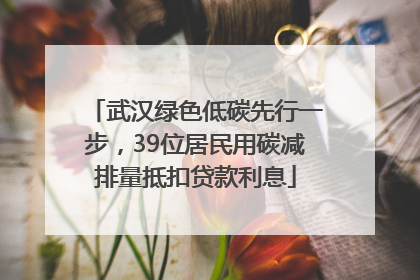 武汉绿色低碳先行一步，39位居民用碳减排量抵扣贷款利息