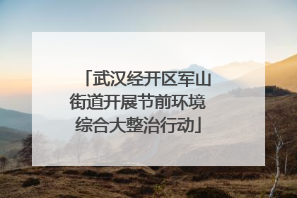 武汉经开区军山街道开展节前环境综合大整治行动