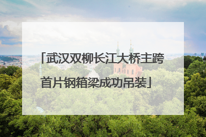 武汉双柳长江大桥主跨首片钢箱梁成功吊装