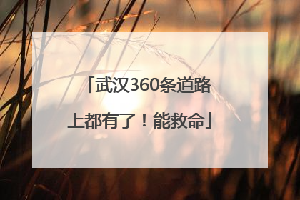 武汉360条道路上都有了！能救命