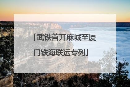 武铁首开麻城至厦门铁海联运专列