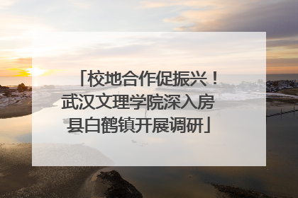 校地合作促振兴！武汉文理学院深入房县白鹤镇开展调研
