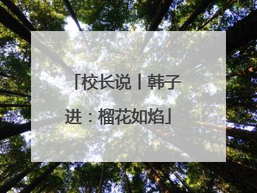 校长说丨韩子进：榴花如焰