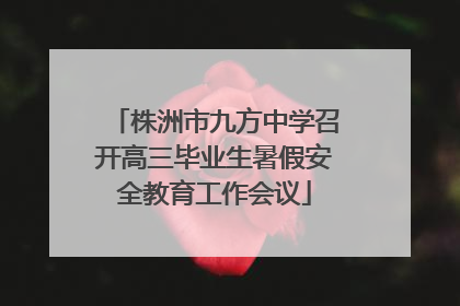 株洲市九方中学召开高三毕业生暑假安全教育工作会议