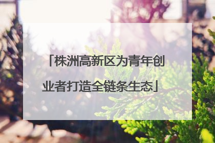 株洲高新区为青年创业者打造全链条生态
