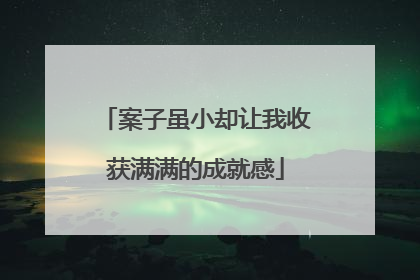 案子虽小却让我收获满满的成就感