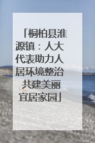 桐柏县淮源镇：人大代表助力人居环境整治 共建美丽宜居家园