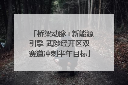 桥梁动脉+新能源引擎 武陟经开区双赛道冲刺半年目标