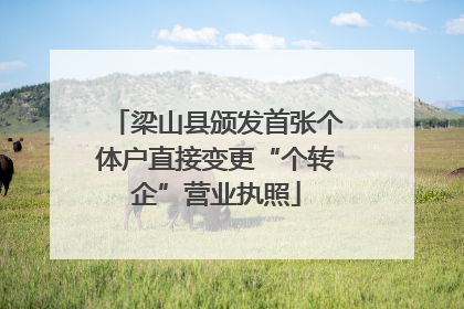 梁山县颁发首张个体户直接变更“个转企”营业执照
