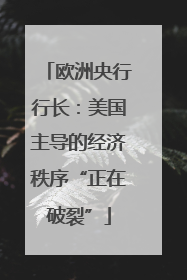 欧洲央行行长：美国主导的经济秩序“正在破裂”